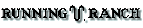 runningvlogo4.gif